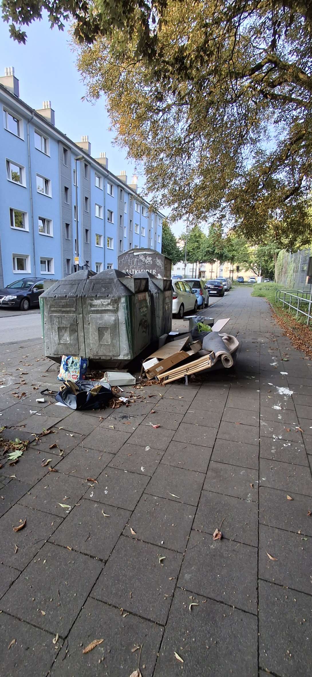 Bild zu gemeldetem Anliegen vom *2025-08-06 09:34:46