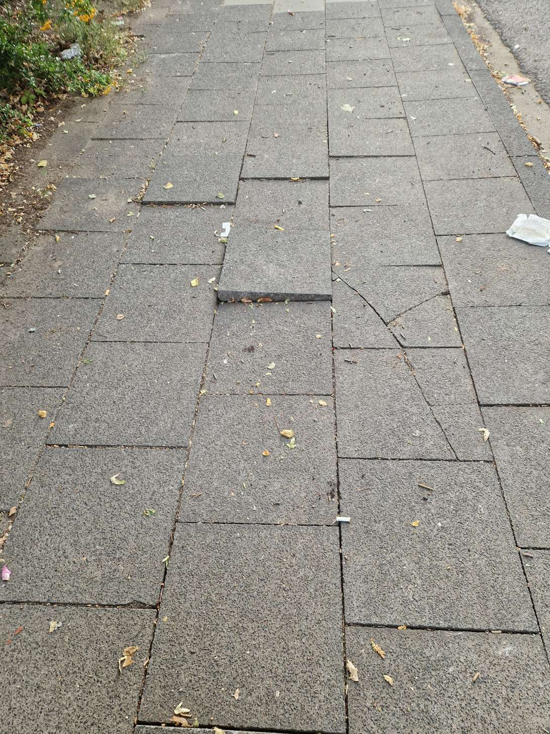 Bild zu gemeldetem Anliegen vom *2025-08-29 15:31:06