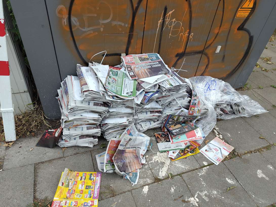 Bild zu gemeldetem Anliegen vom *2025-08-30 15:49:13