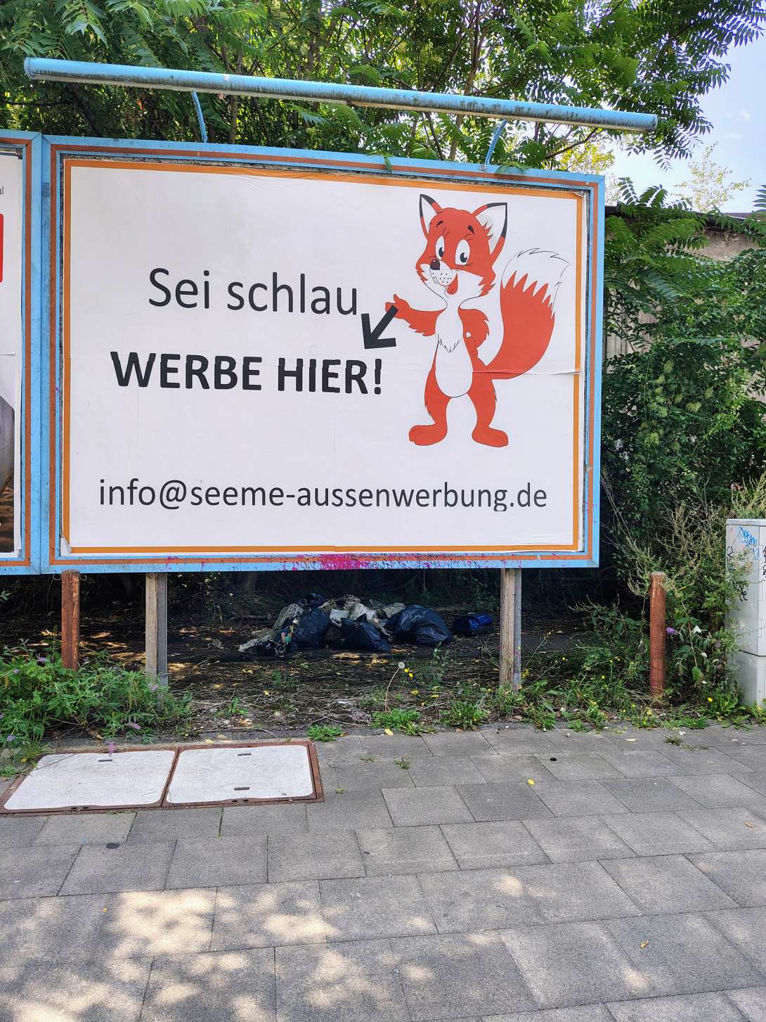 Bild zu gemeldetem Anliegen vom *2025-08-12 12:18:55