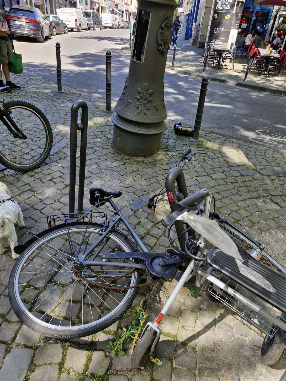 Bild zu gemeldetem Anliegen vom *2025-08-07 12:17:26