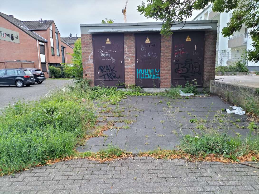 Bild zu gemeldetem Anliegen vom *2025-08-04 20:30:33