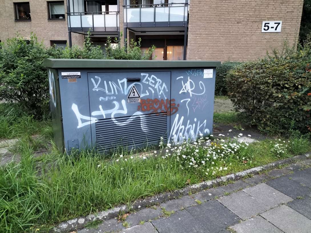 Bild zu gemeldetem Anliegen vom *2025-08-04 20:45:47