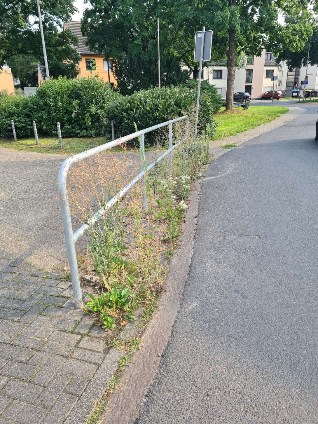 Bild zu gemeldetem Anliegen vom *2025-08-05 17:55:00