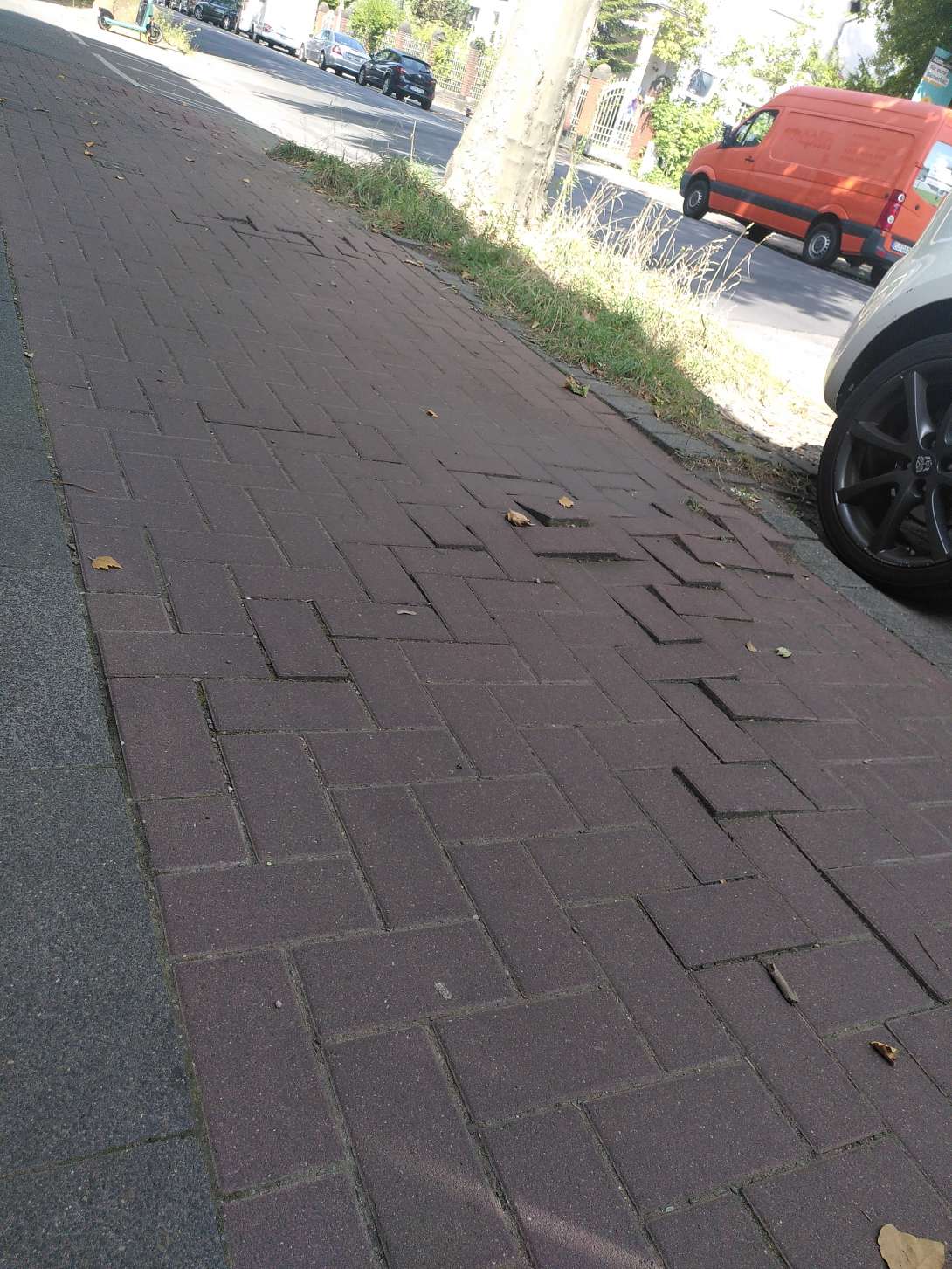 Bild zu gemeldetem Anliegen vom *2025-08-12 12:20:24