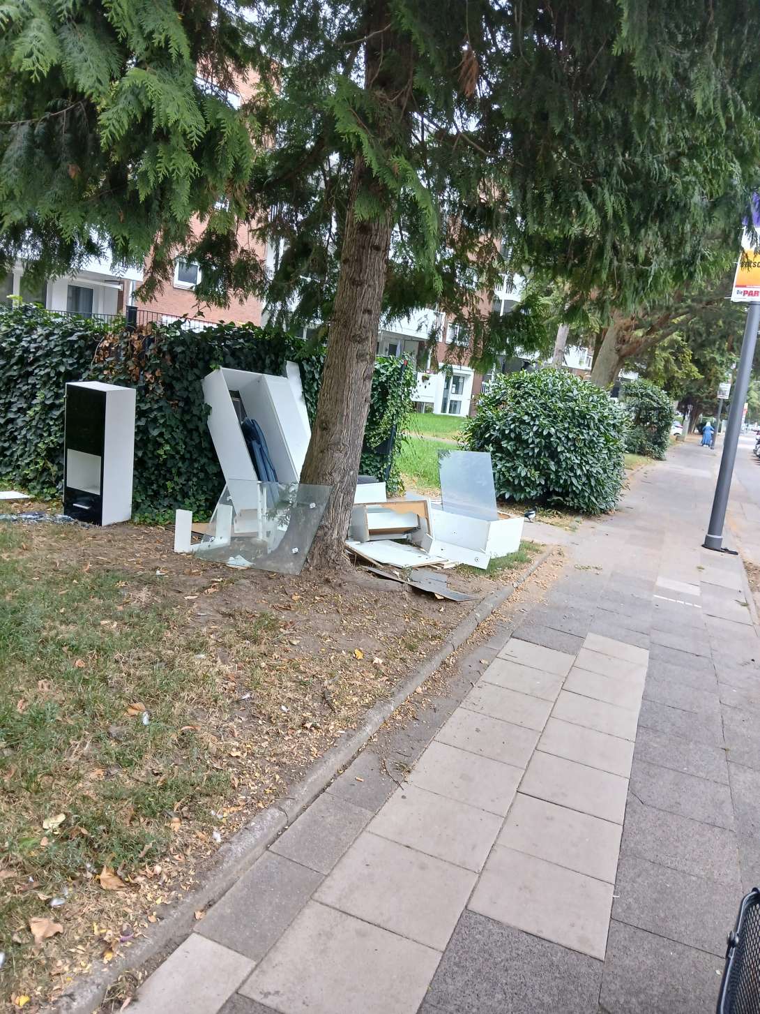 Bild zu gemeldetem Anliegen vom *2025-08-28 11:56:03