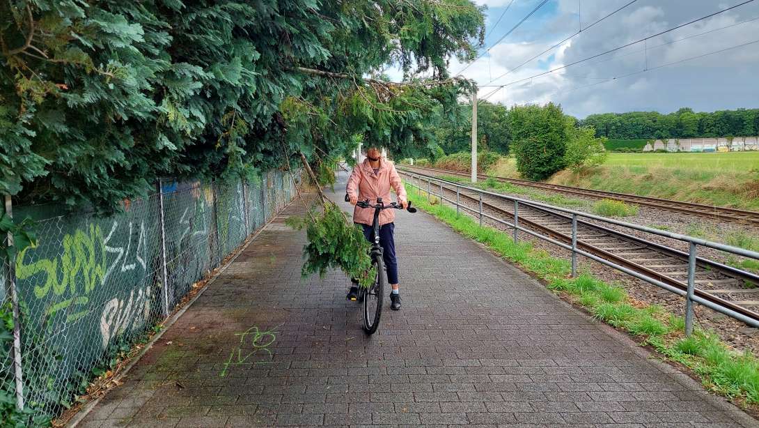 Bild zu gemeldetem Anliegen vom *2025-08-02 18:21:26