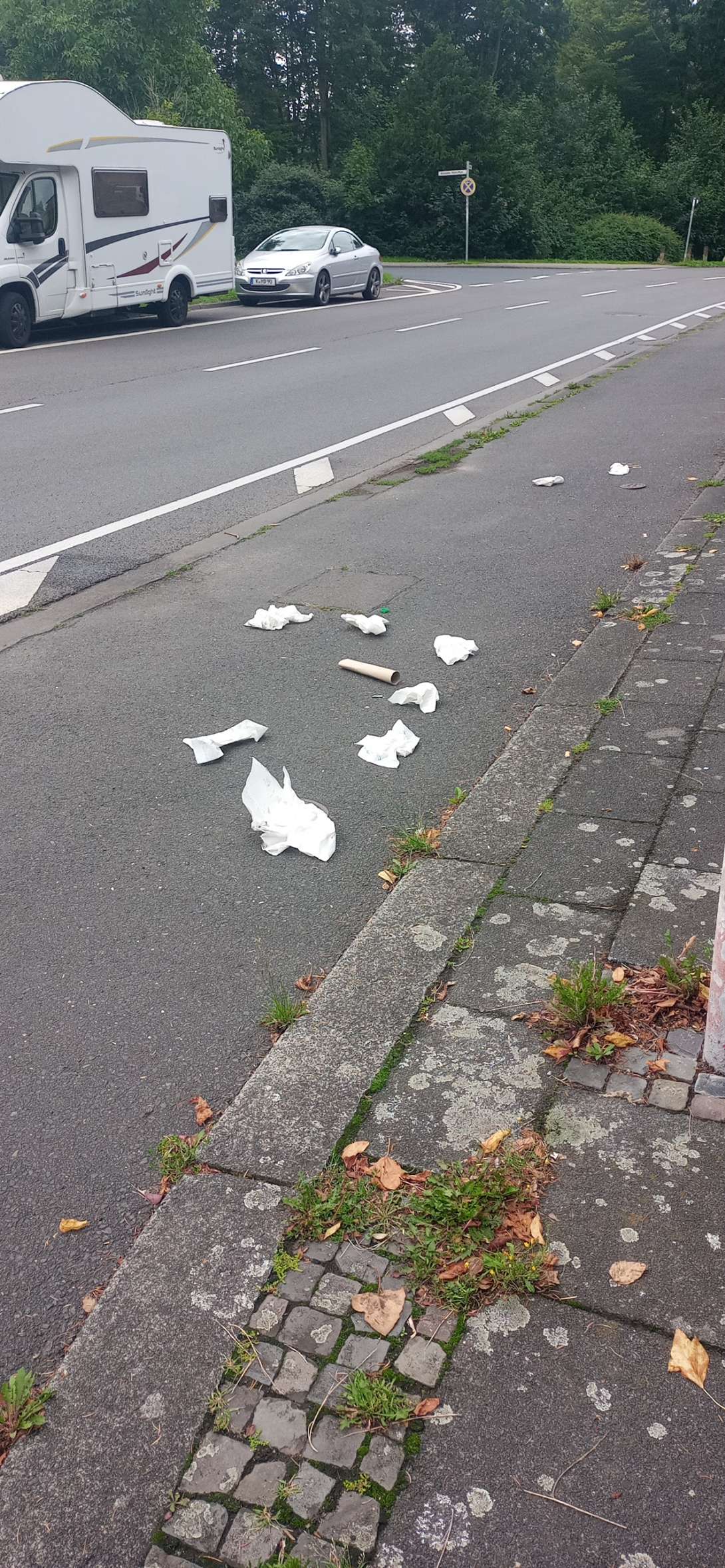 Bild zu gemeldetem Anliegen vom *2025-08-03 10:25:44