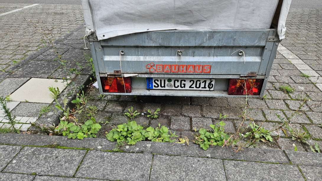 Bild zu gemeldetem Anliegen vom *2025-08-07 18:27:48
