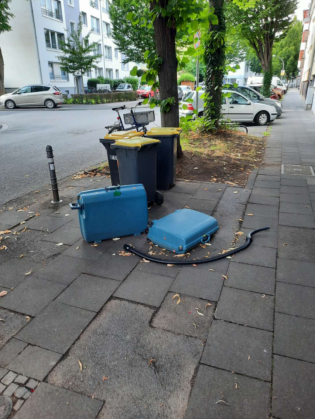 Bild zu gemeldetem Anliegen vom *2025-08-03 16:56:58