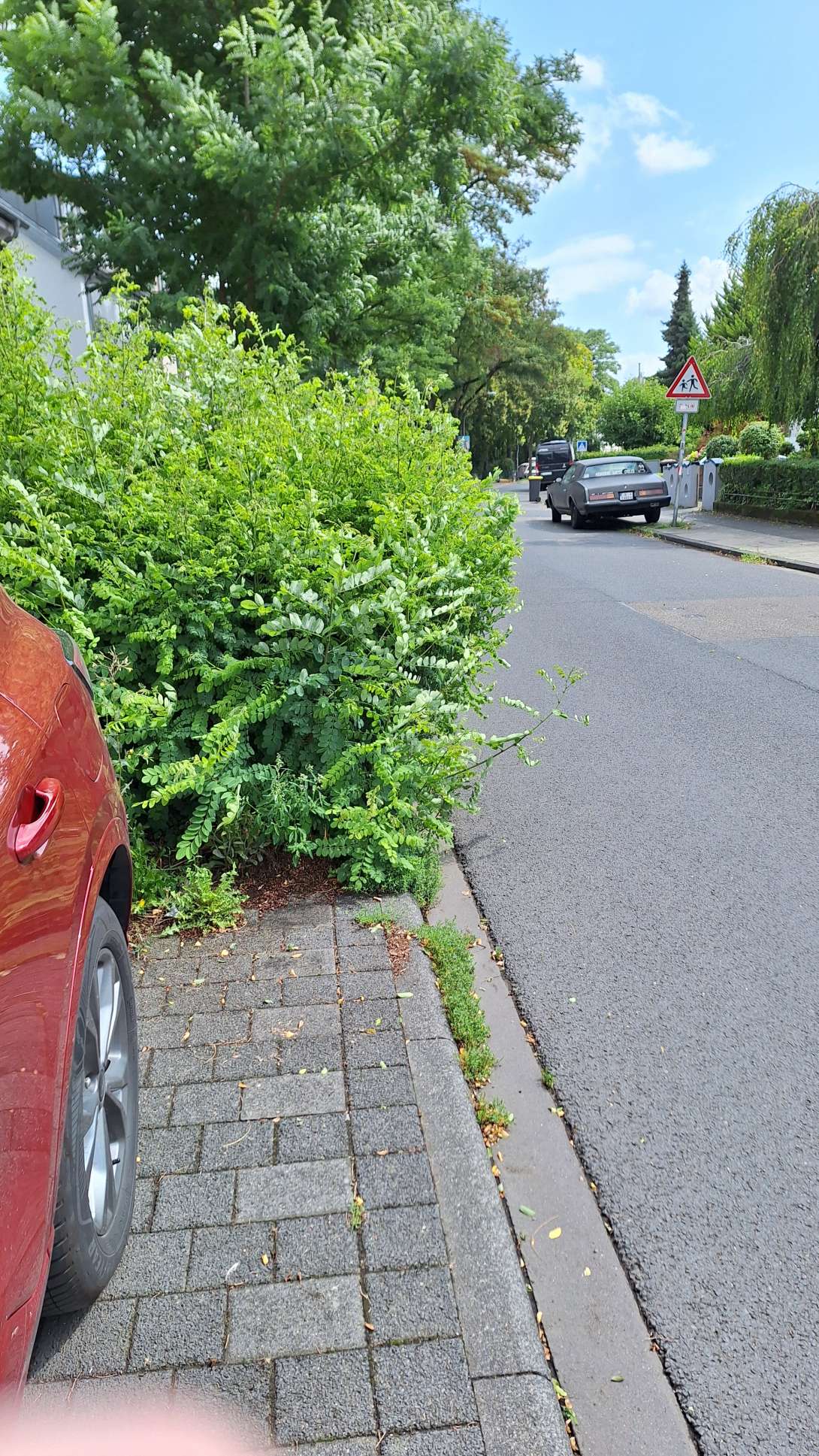 Bild zu gemeldetem Anliegen vom *2025-08-05 16:34:18