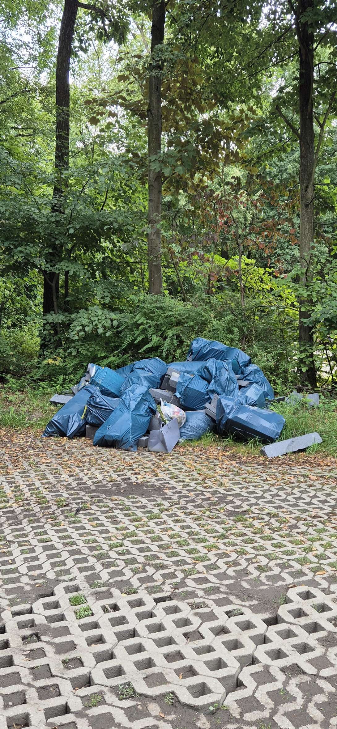 Bild zu gemeldetem Anliegen vom *2025-08-11 06:13:29