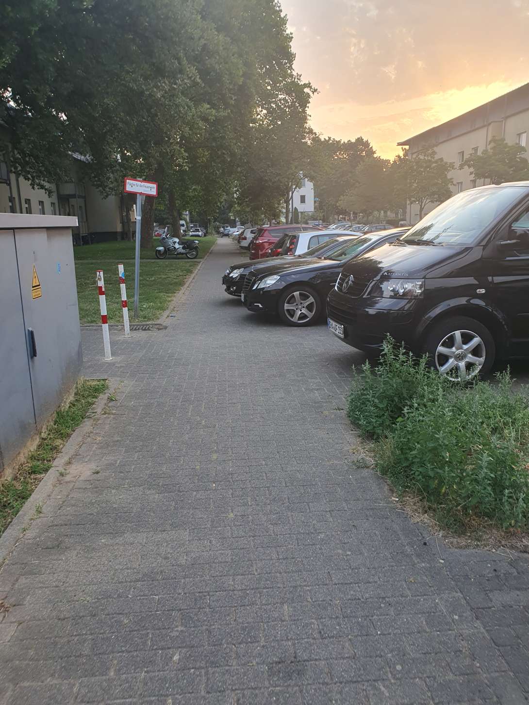 Bild zu gemeldetem Anliegen vom *2025-08-14 06:29:08