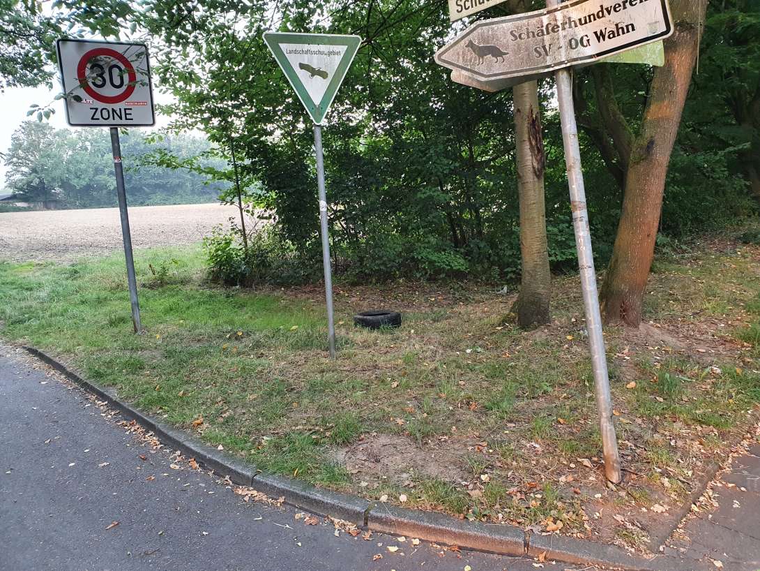 Bild zu gemeldetem Anliegen vom *2025-08-15 07:16:37