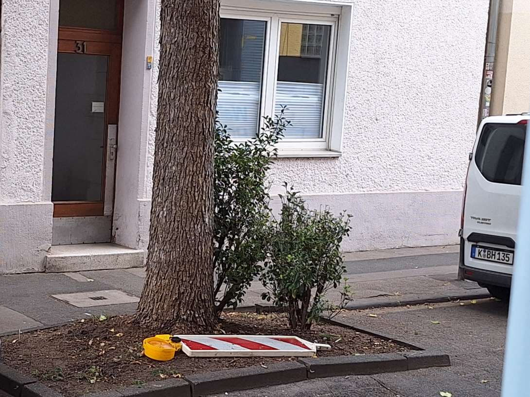 Bild zu gemeldetem Anliegen vom *2025-08-27 18:39:30
