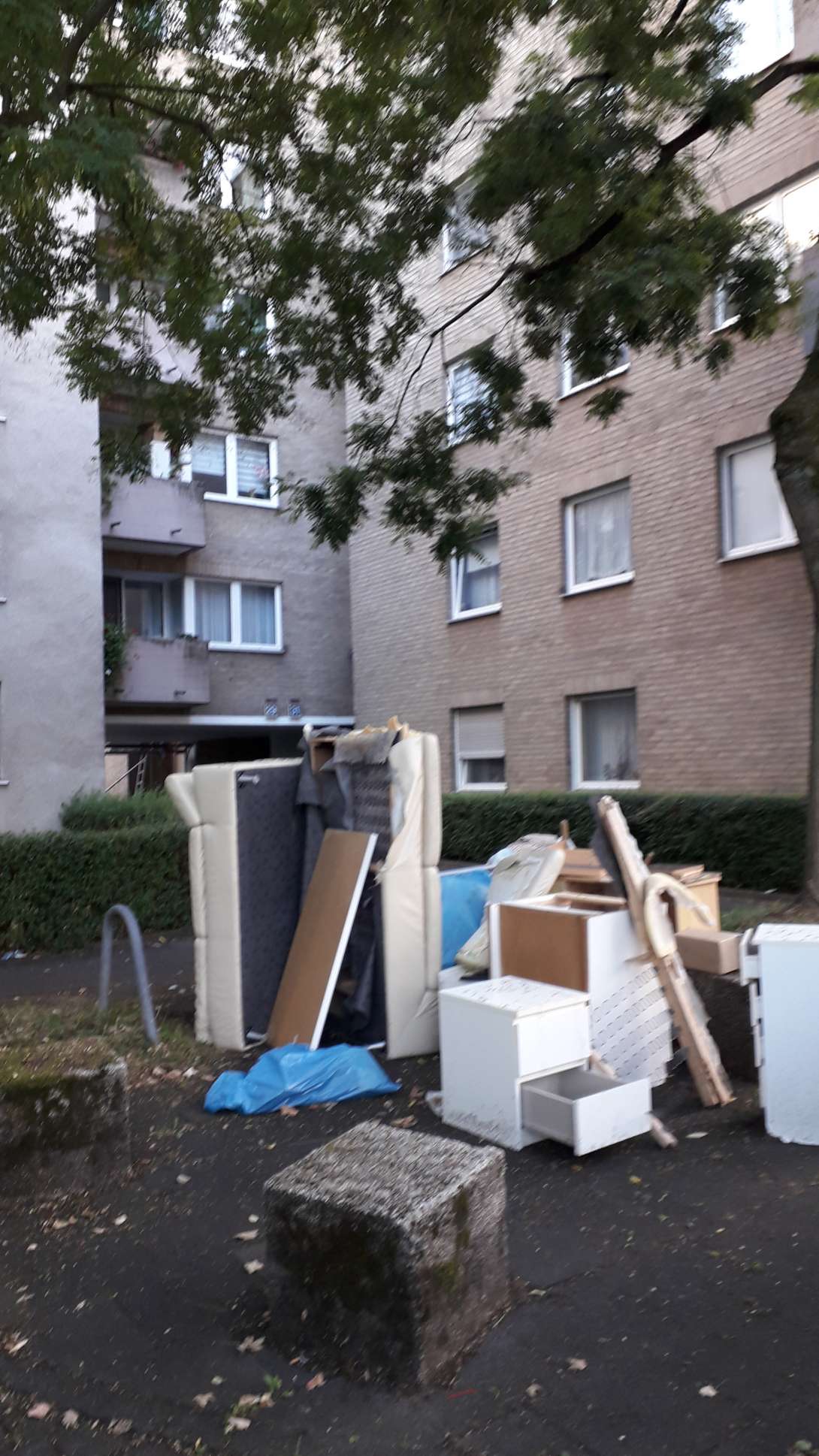 Bild zu gemeldetem Anliegen vom *2025-08-31 14:00:43