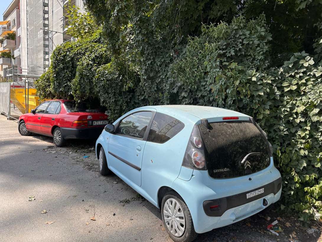  Diese Autos stehen seit anderthalb Jahren dort ohne TÜV ohne Kennzeichen. Sie bekommen auch keinen Strafzettel. Obwohl das Ordnungsamt regelmäßig an ihnen vorbeigeht. Diese Autos werden auch regelmäßig bewegt, obwohl sie kein TÜV und kein Kennzeichen haben. Köln, den 14.8.2025 07:49:23
