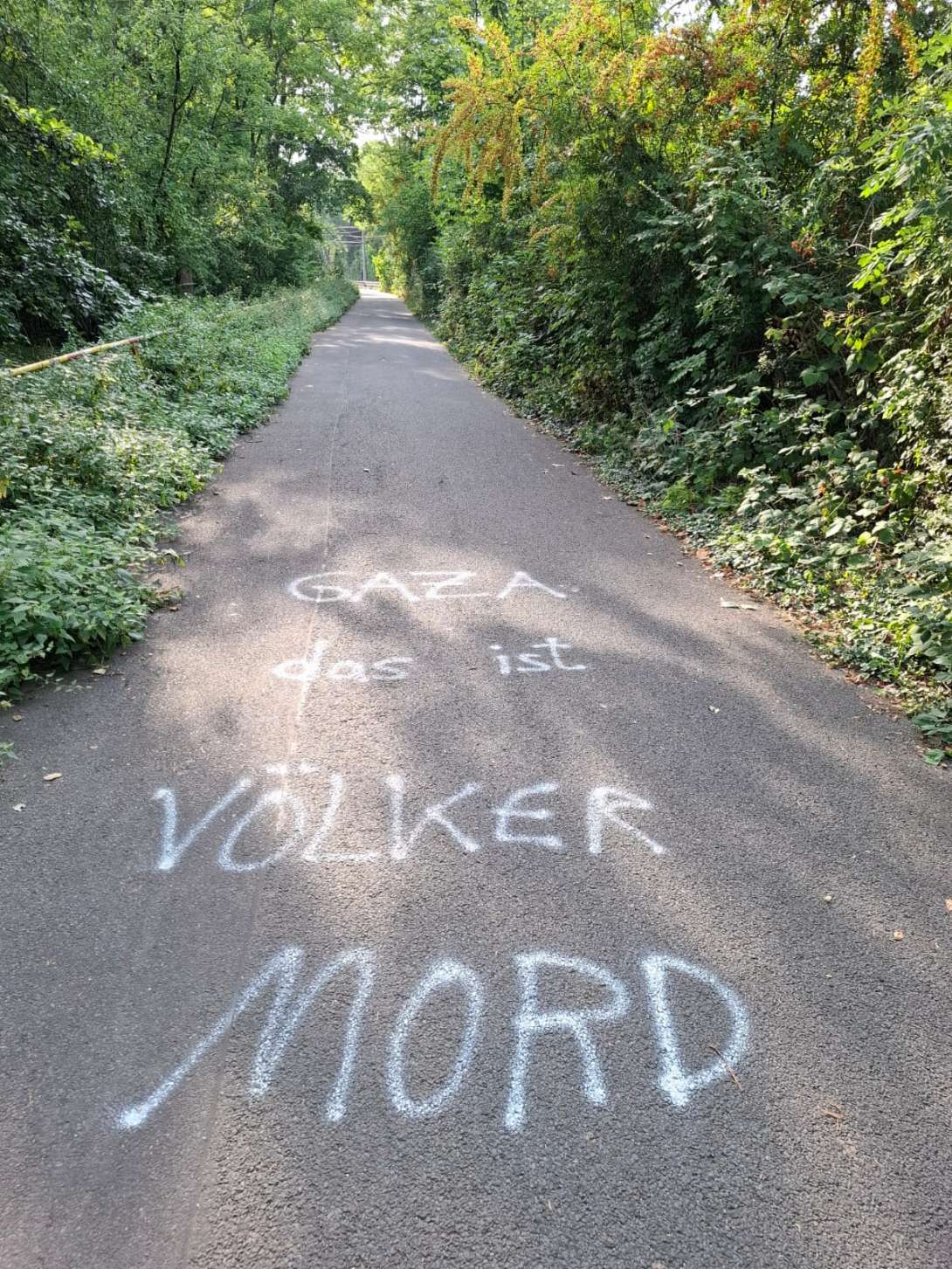 Bild zu gemeldetem Anliegen vom *2025-08-14 19:36:11