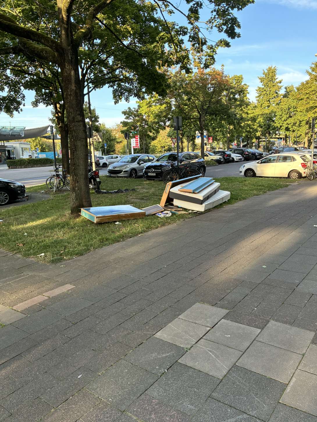 Bild zu gemeldetem Anliegen vom *2025-08-19 21:27:36