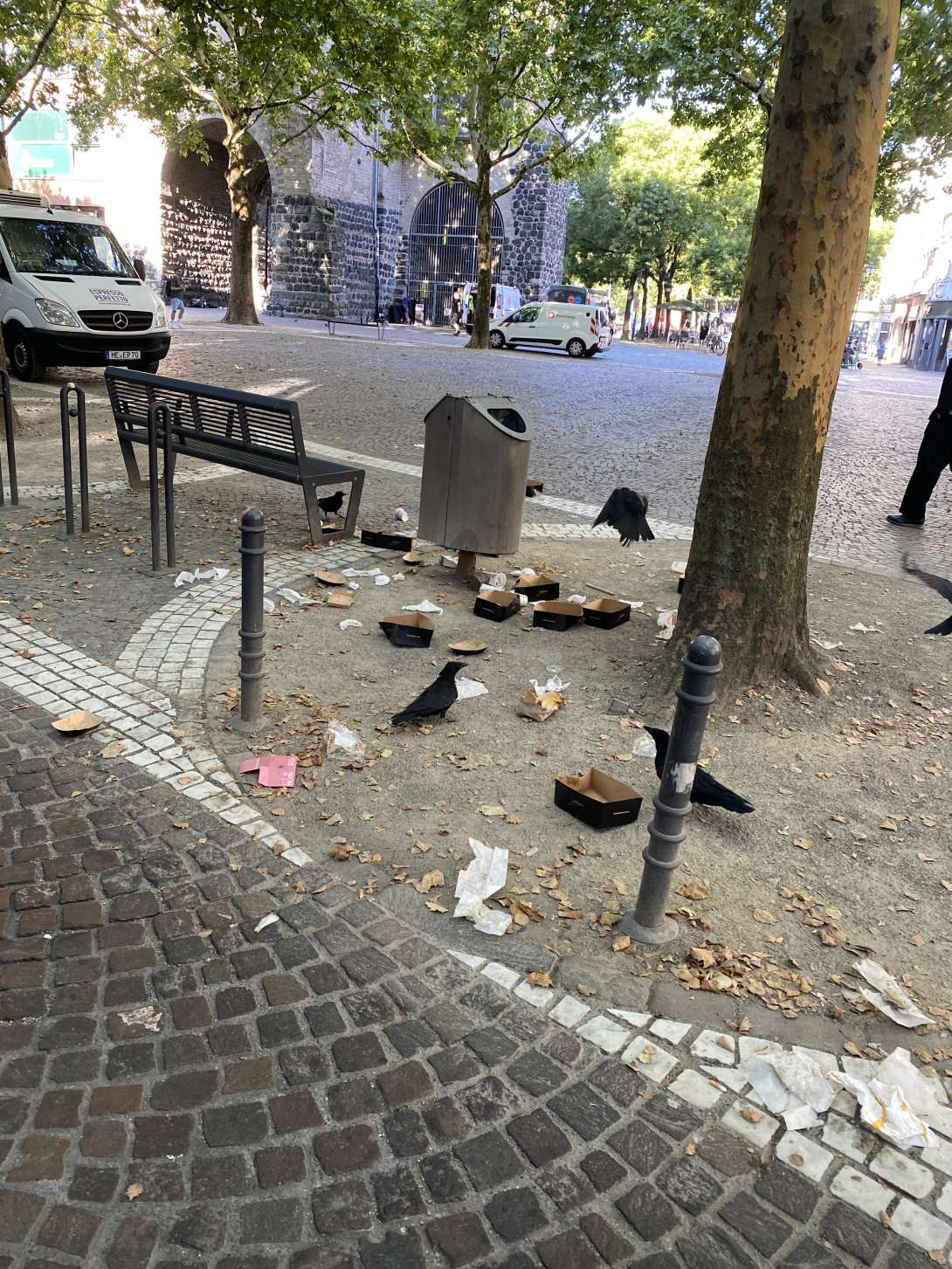 Bild zu gemeldetem Anliegen vom *2025-08-19 10:23:34