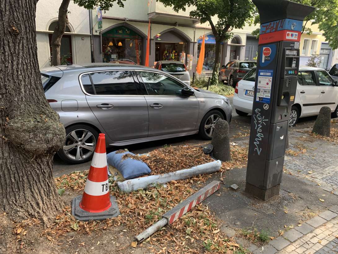 Bild zu gemeldetem Anliegen vom *2025-08-15 05:49:29