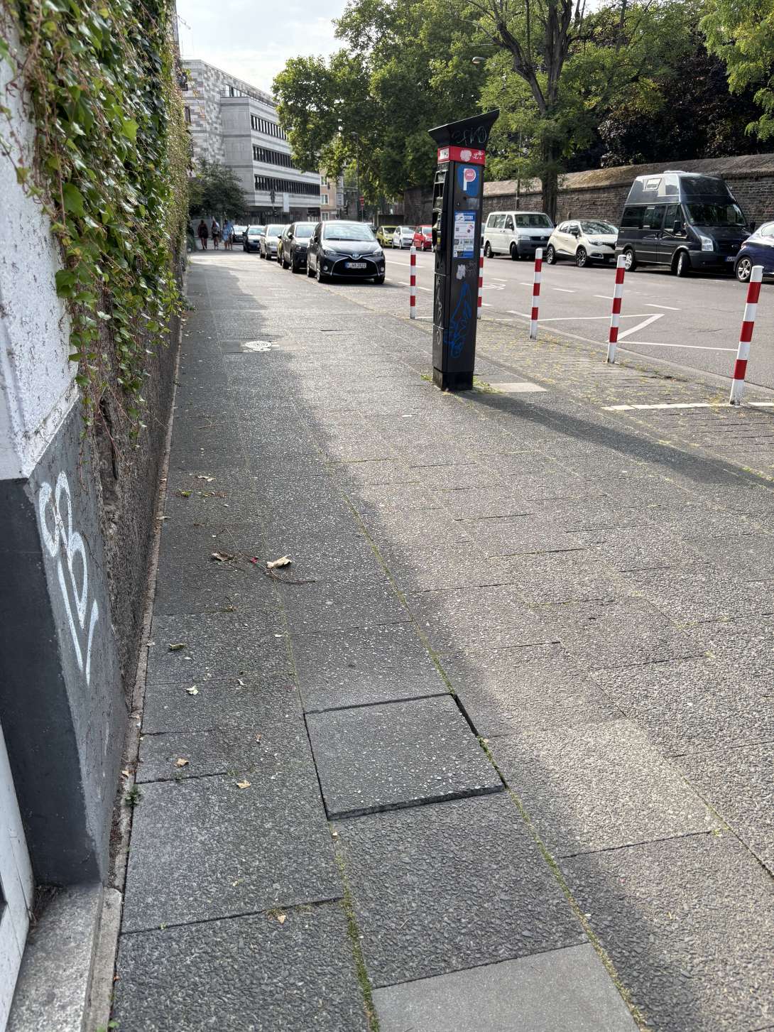 Bild zu gemeldetem Anliegen vom *2025-08-24 16:09:31