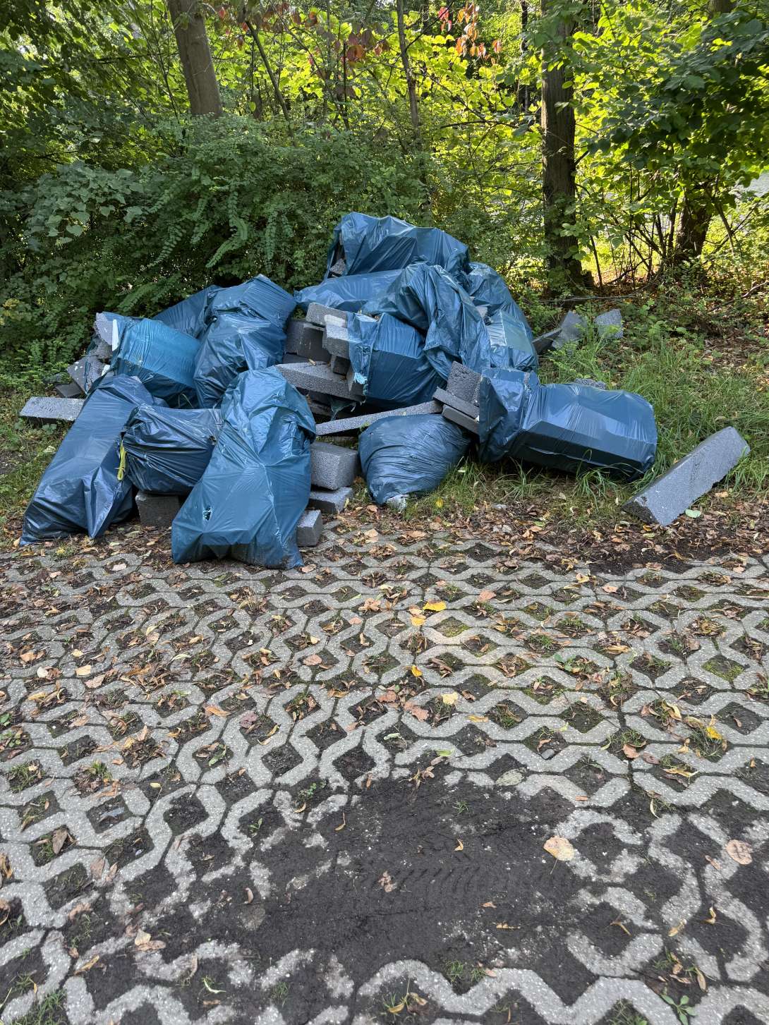 Bild zu gemeldetem Anliegen vom *2025-08-06 12:28:37