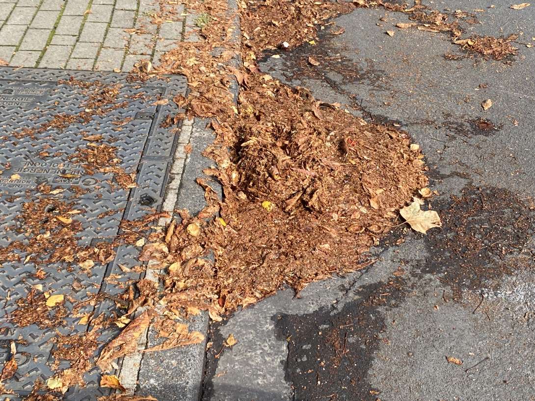 Bild zu gemeldetem Anliegen vom *2025-08-29 06:34:46