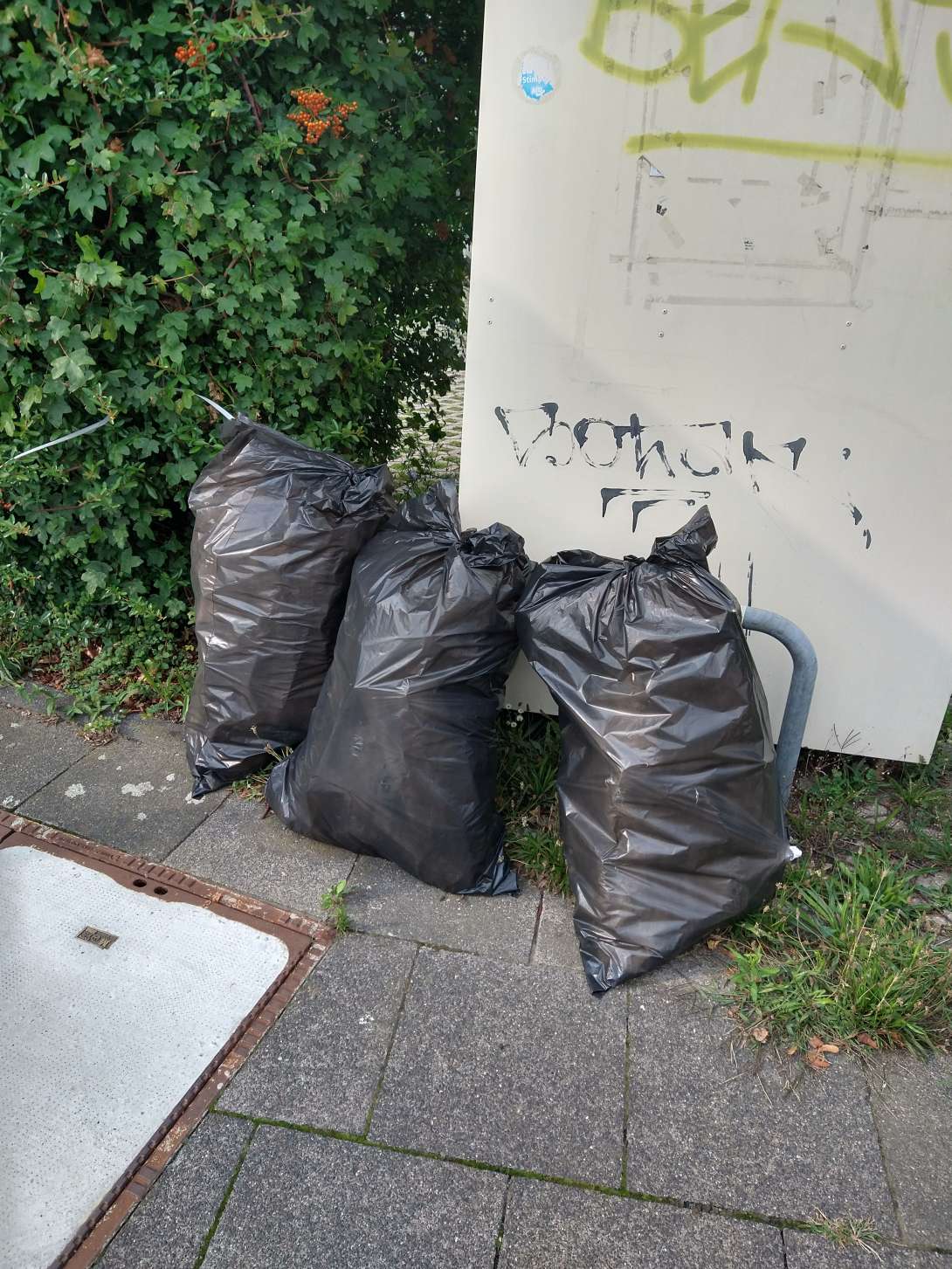 Bild zu gemeldetem Anliegen vom *2025-08-05 19:24:30