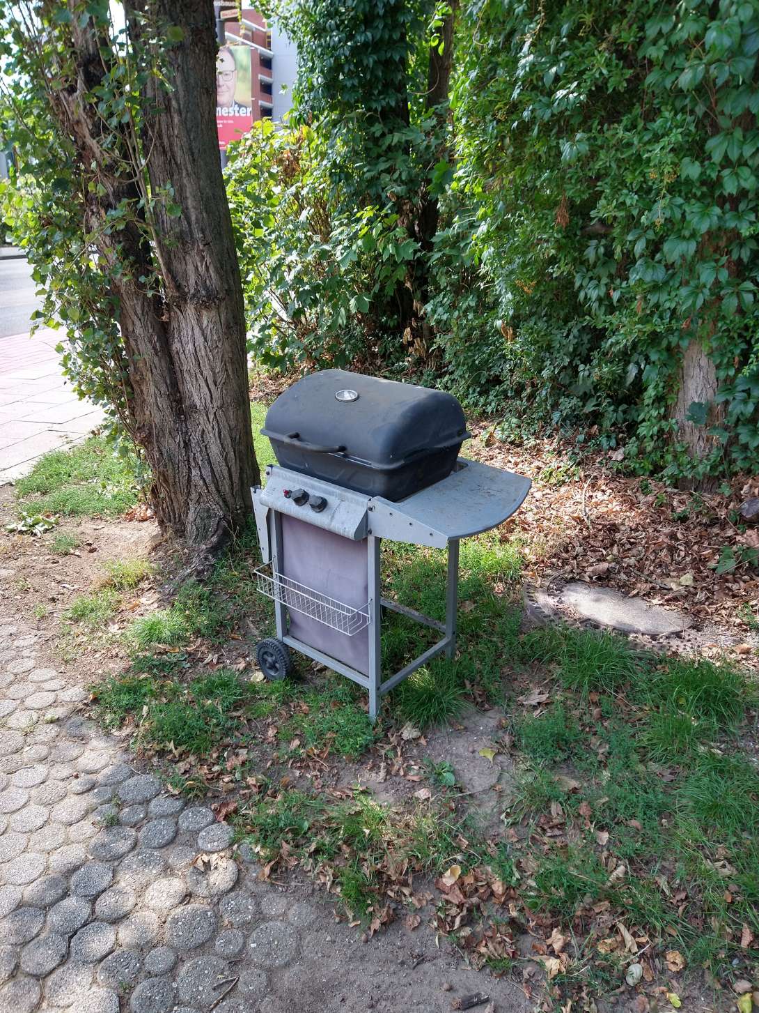 Bild zu gemeldetem Anliegen vom *2025-08-07 16:36:04