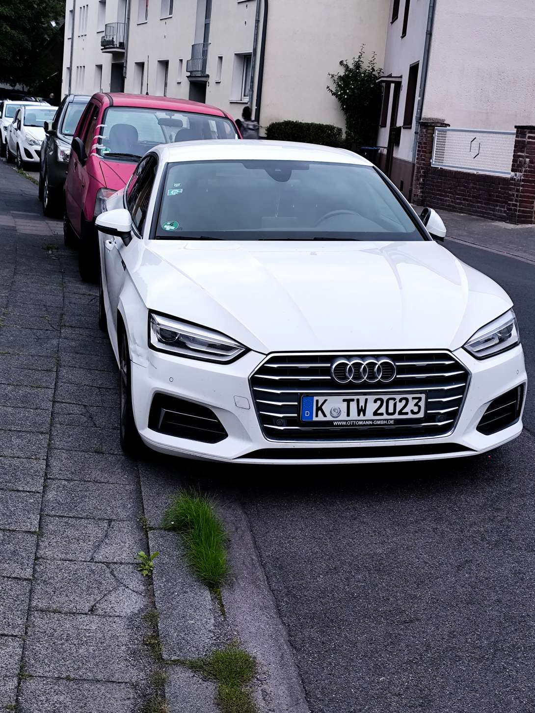 Bild zu gemeldetem Anliegen vom *2025-08-07 18:27:48