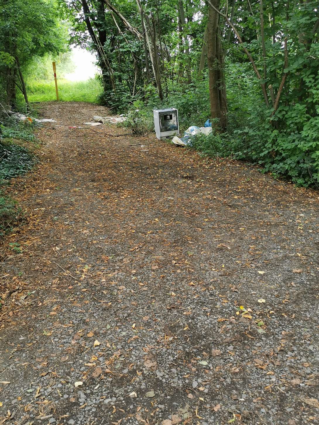 Bild zu gemeldetem Anliegen vom *2025-08-08 15:28:41