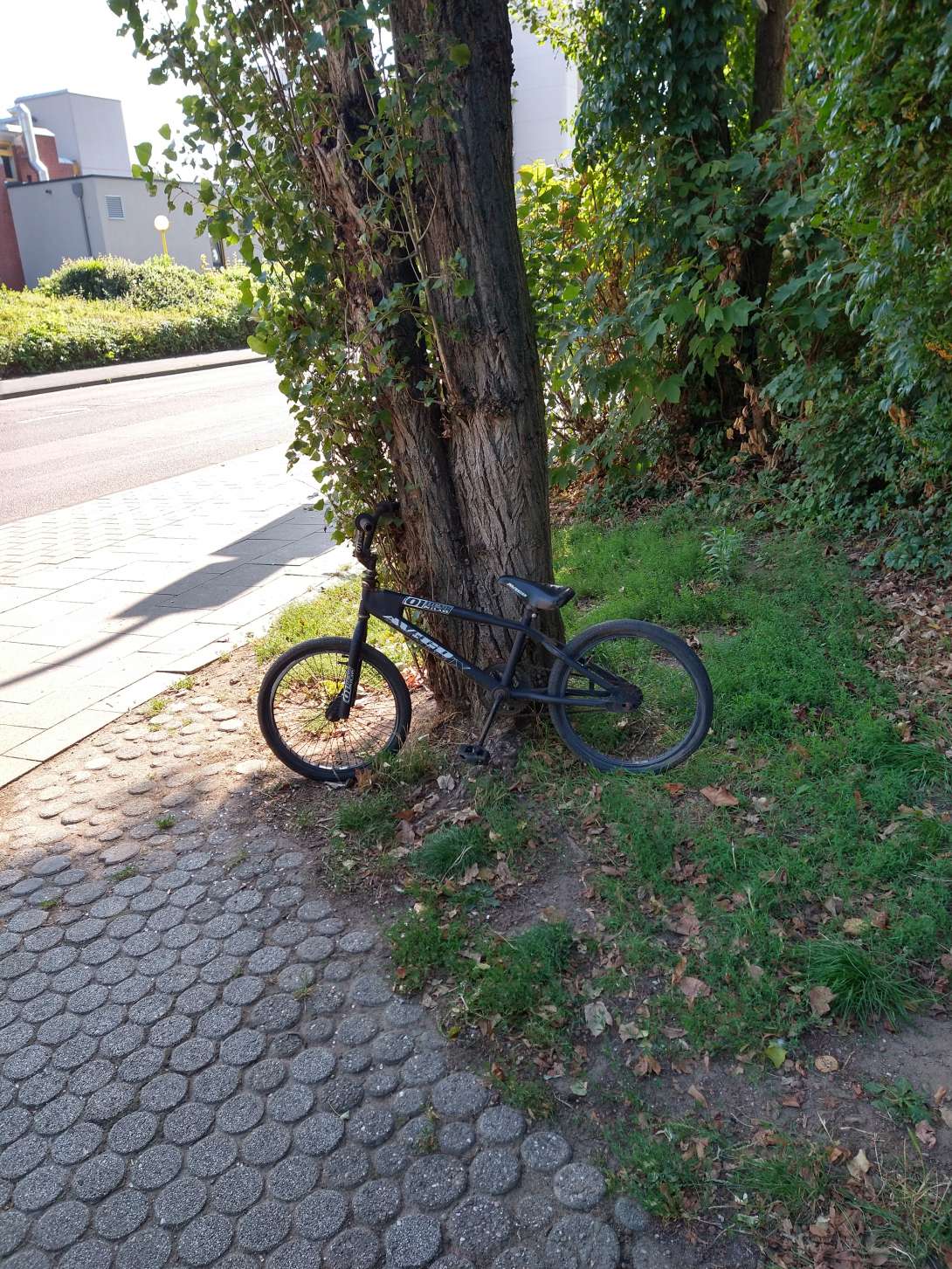 Schrottfahrrad am Zugang zur Friedensstr. 114/114a