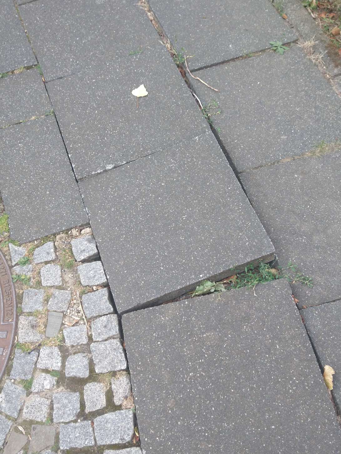 Bild zu gemeldetem Anliegen vom *2025-08-12 11:24:42