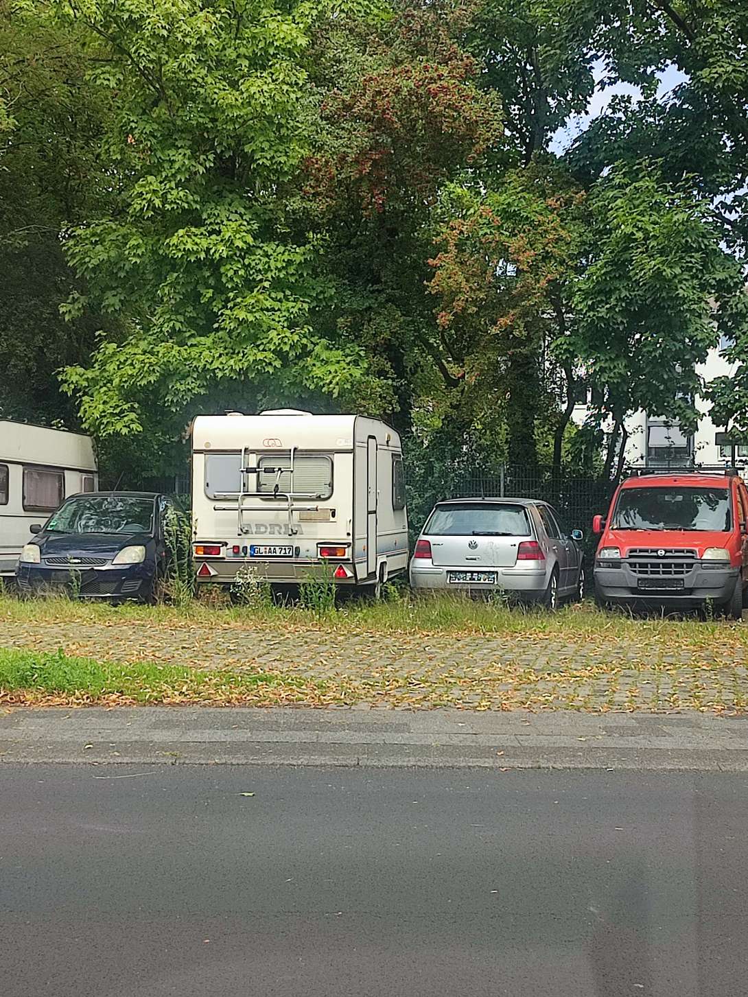 Bild zu gemeldetem Anliegen vom *2025-08-15 12:31:18