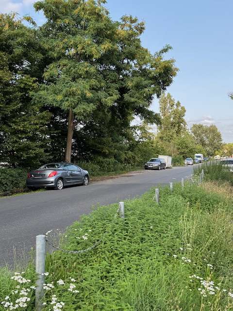 Bild zu gemeldetem Anliegen vom *2025-08-07 09:28:19