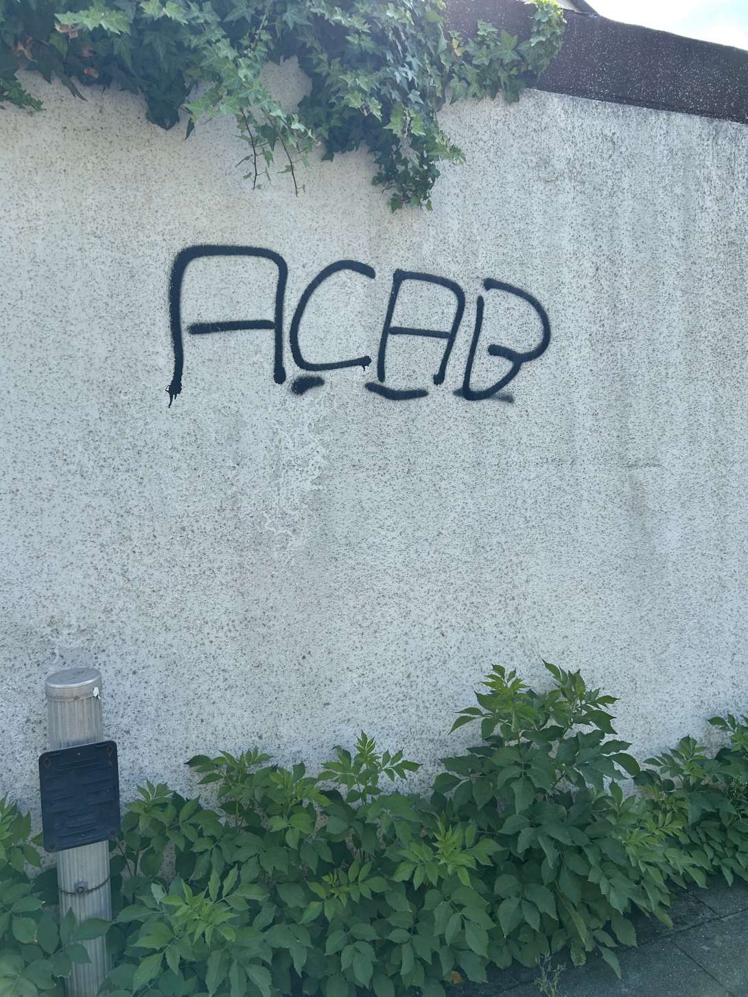 Bild zu gemeldetem Anliegen vom *2025-08-03 11:37:26