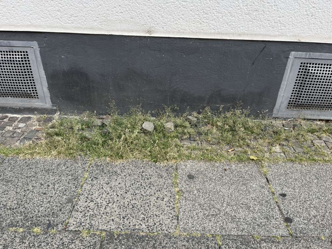 Bild zu gemeldetem Anliegen vom *2025-08-12 06:31:11