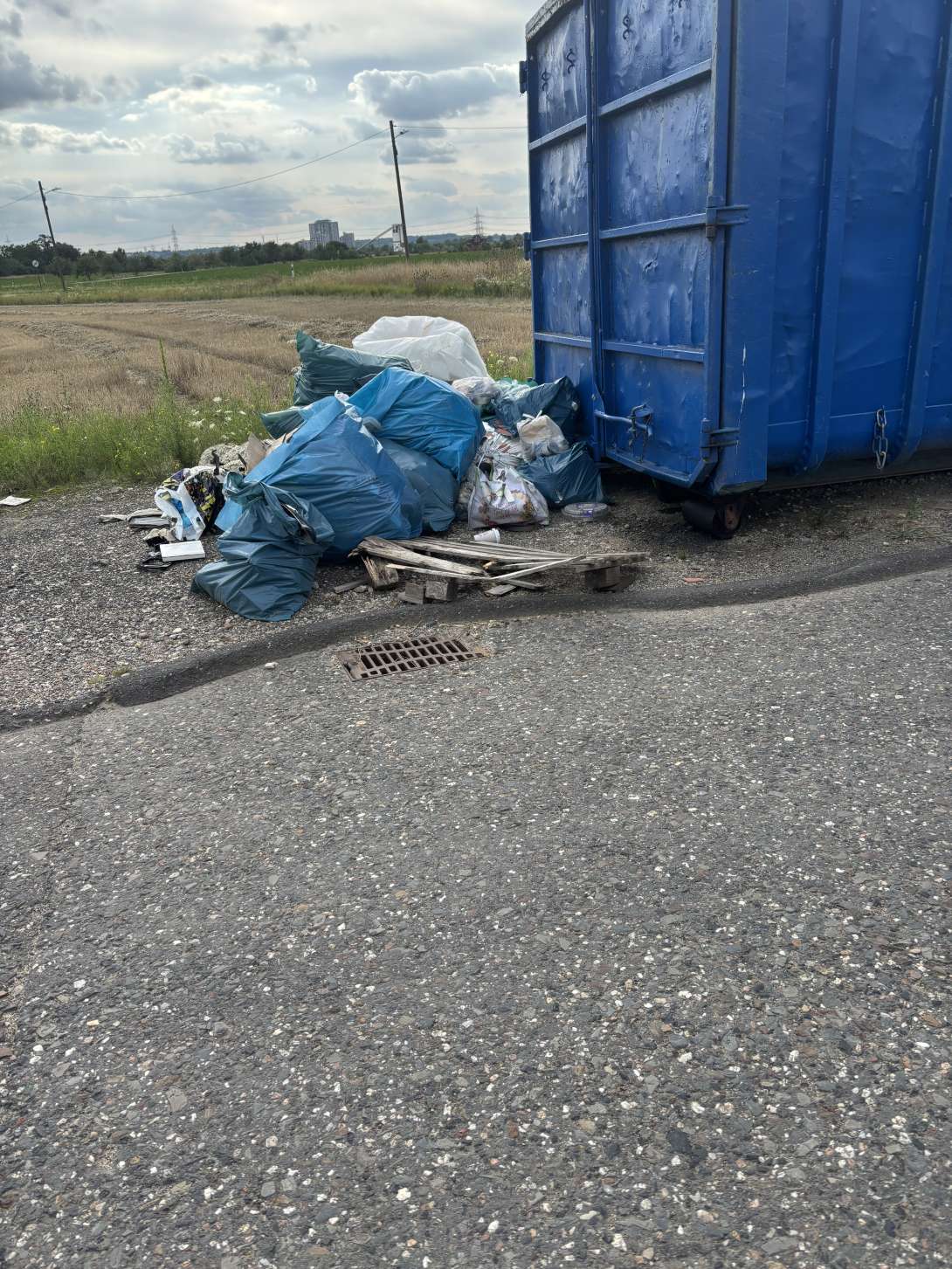 Bild zu gemeldetem Anliegen vom *2025-08-03 18:38:24