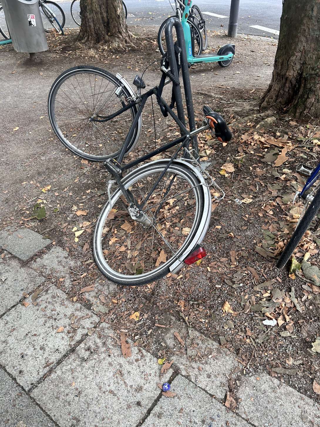 Bild zu gemeldetem Anliegen vom *2025-08-30 12:31:07