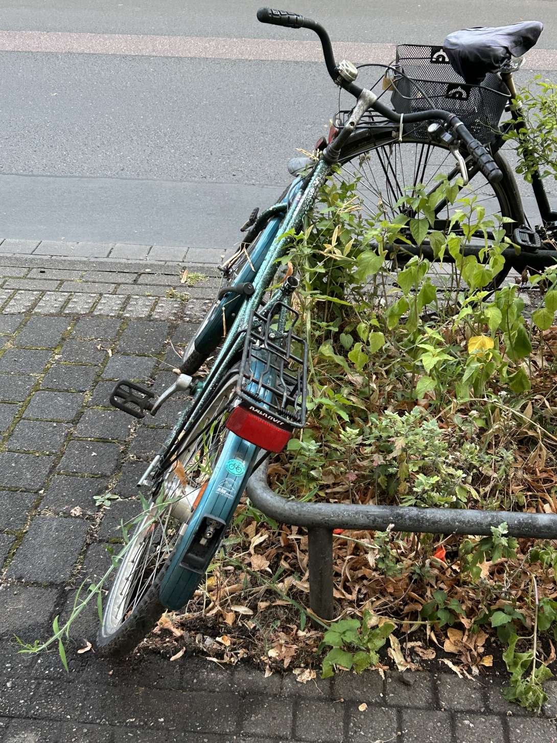 Bild zu gemeldetem Anliegen vom *2025-08-27 20:05:23