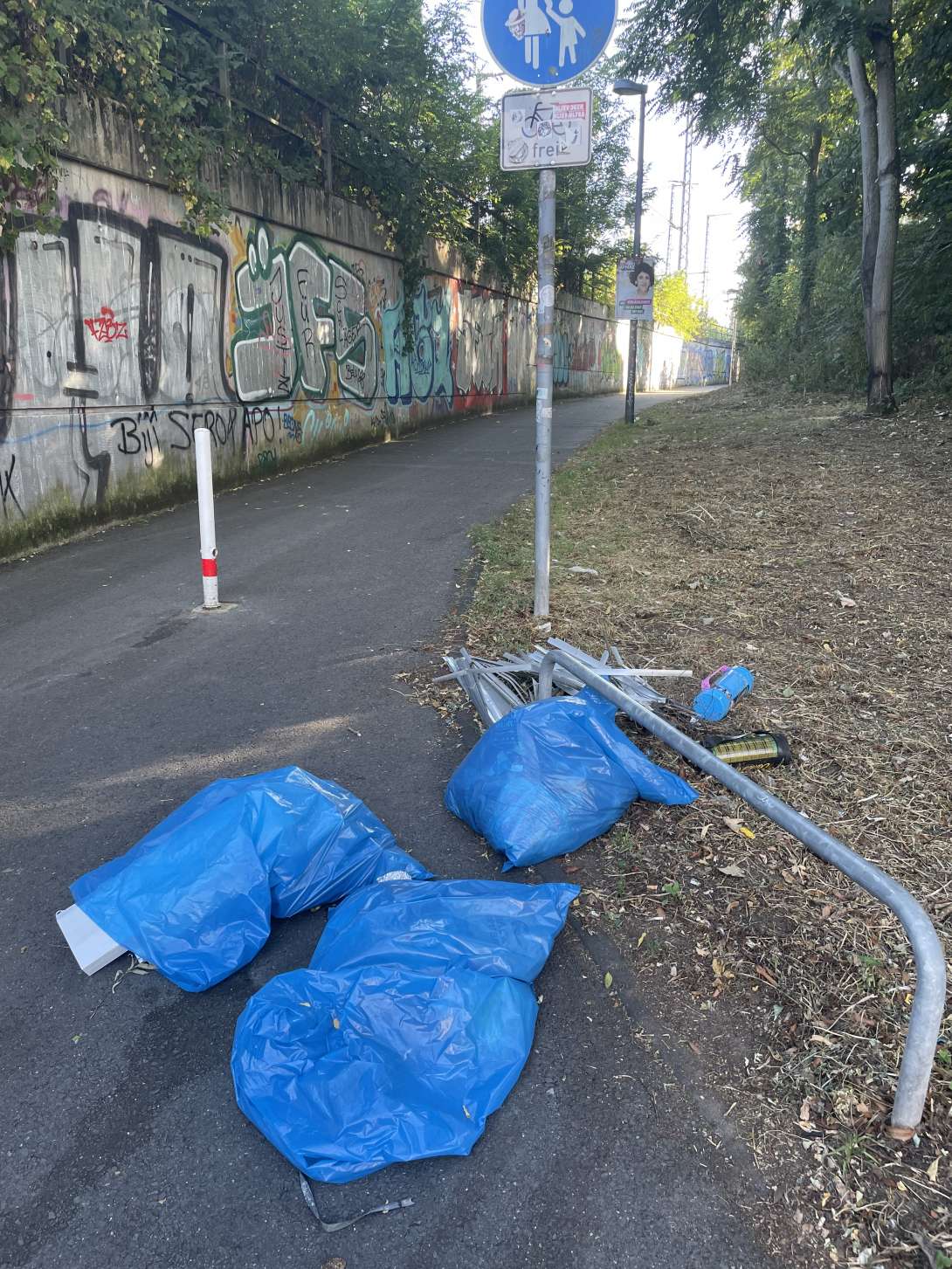 Bild zu gemeldetem Anliegen vom *2025-08-19 08:51:18