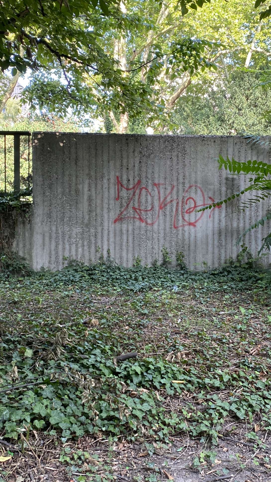 Bild zu gemeldetem Anliegen vom *2025-08-09 17:03:37