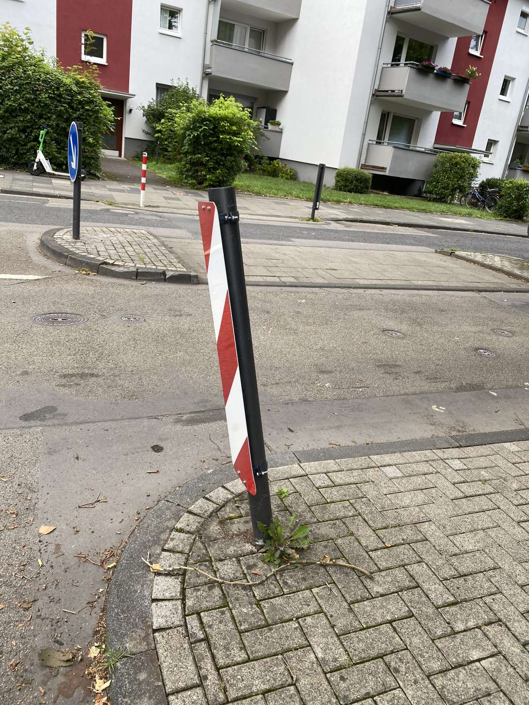 Bild zu gemeldetem Anliegen vom *2025-08-06 00:14:53