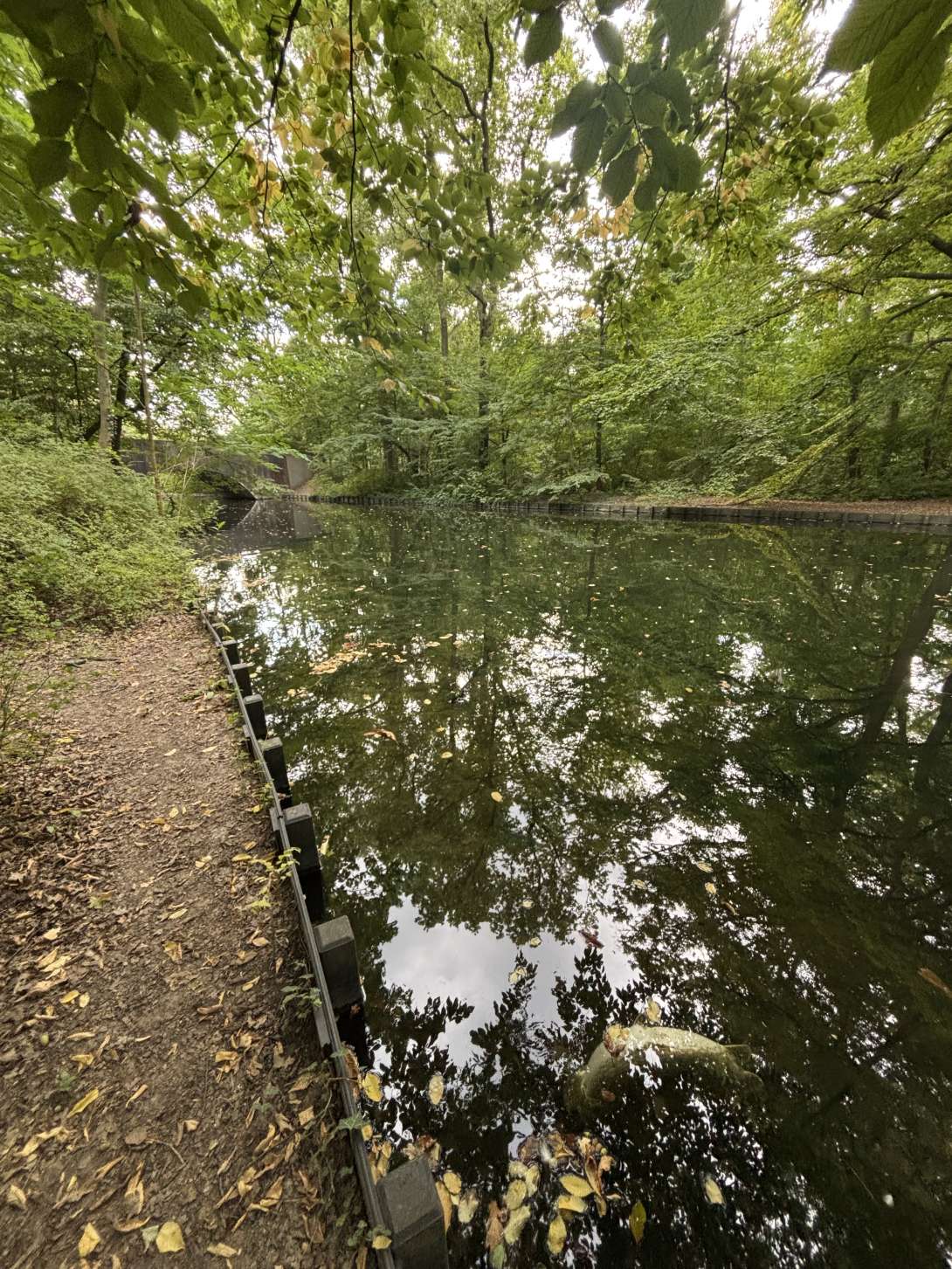 Bild zu gemeldetem Anliegen vom *2025-08-23 13:40:53