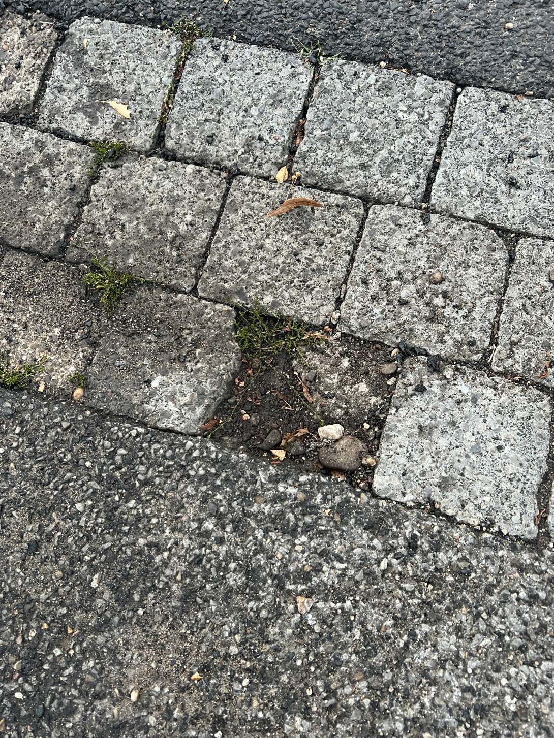 Bild zu gemeldetem Anliegen vom *2025-08-27 23:56:48