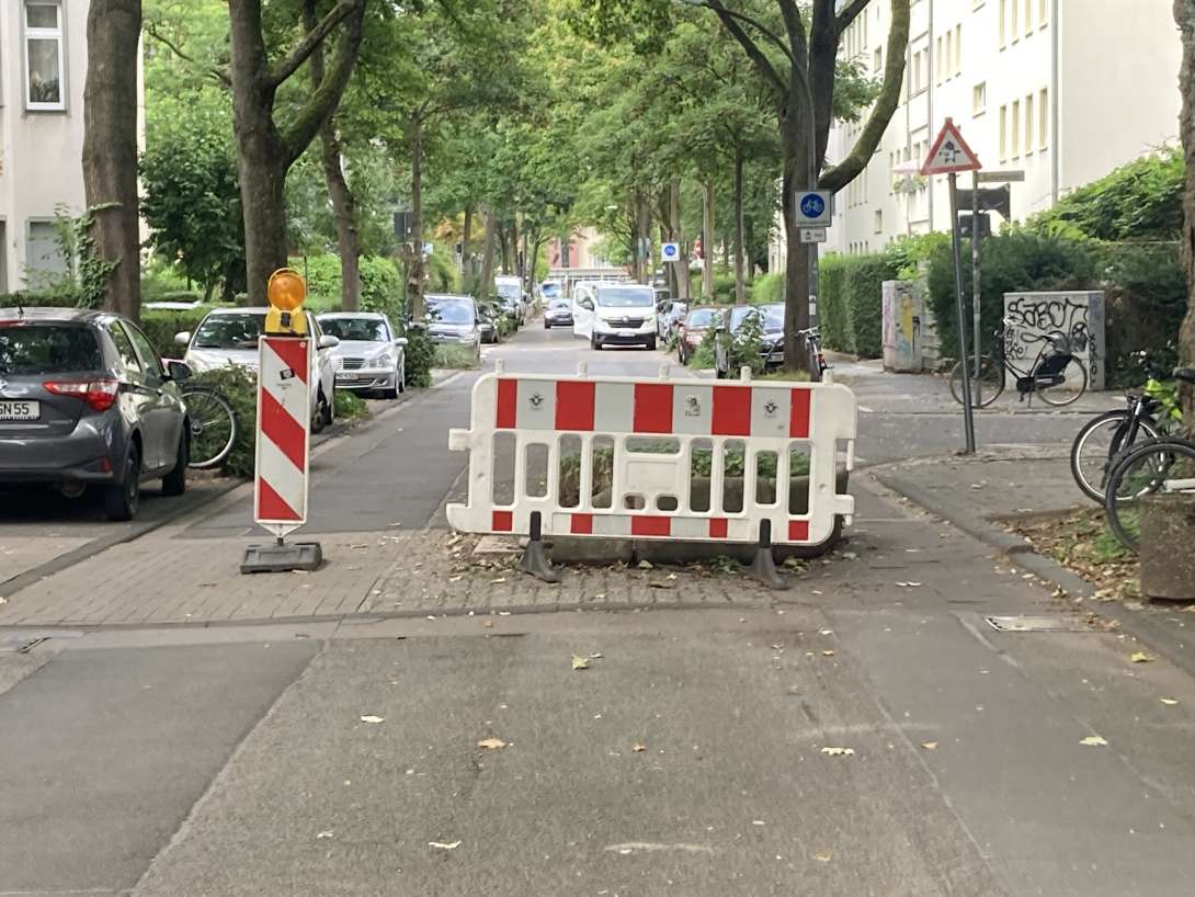 Bild zu gemeldetem Anliegen vom *2025-08-08 15:29:22