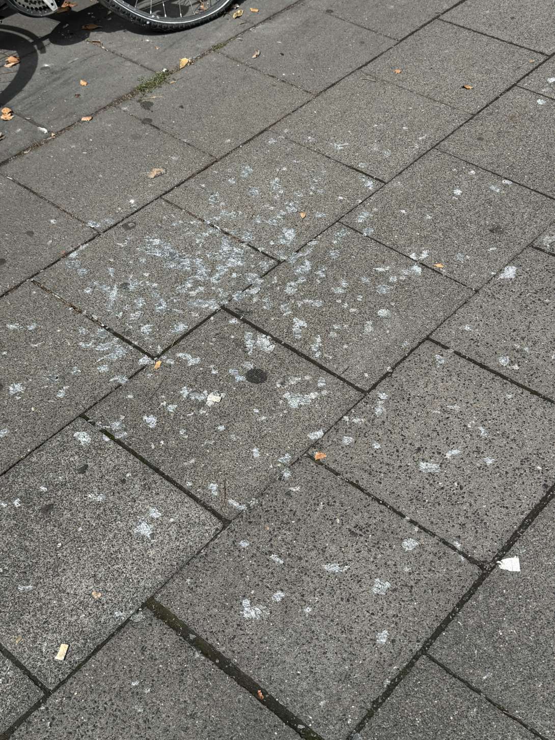 Bild zu gemeldetem Anliegen vom *2025-08-02 12:22:46