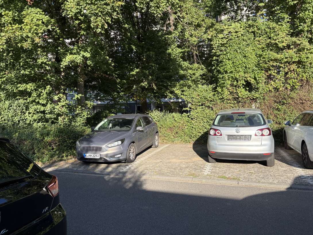 Bild zu gemeldetem Anliegen vom *2025-08-12 09:32:27