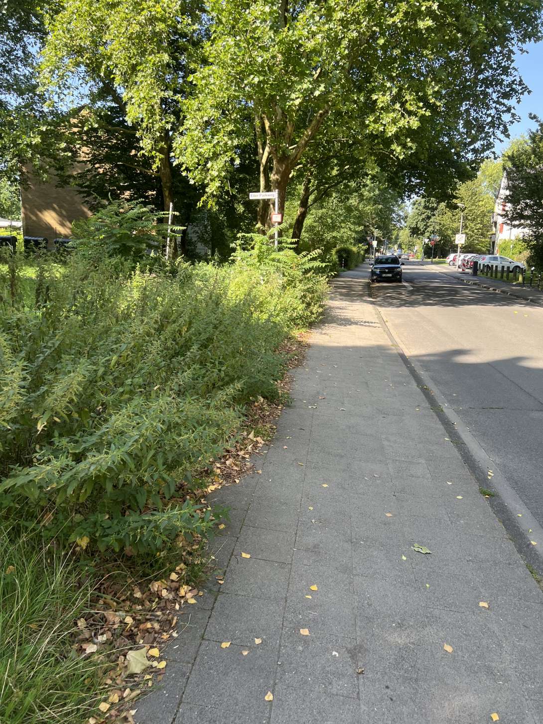 Bild zu gemeldetem Anliegen vom *2025-08-11 16:12:14